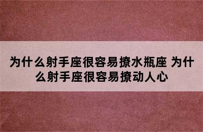 为什么射手座很容易撩水瓶座 为什么射手座很容易撩动人心